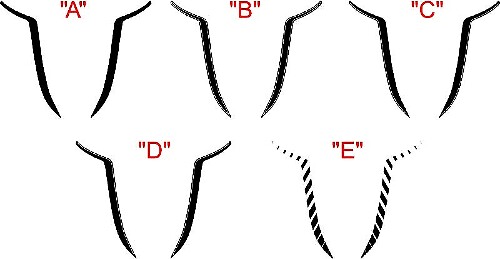 2015 & Up Dodge Charger SRT / HELLCAT Hood Spear Accent Stripe Kit