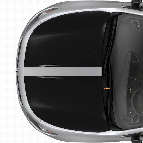 Dual Blackout Hood Stripes Vinyl Decal Set for Dodge Dart 2013+