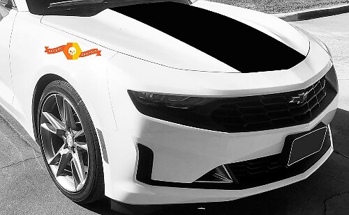 Chevrolet Camaro 2019 Stinger Style Hood package spider stripes, vinyl graphic

