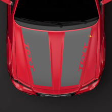 Chrysler 300C HEMI style hood Sticker Decal top blackout pre-cut
 3